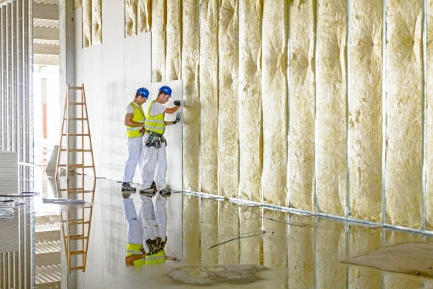 Best Insulation Maintenance and Repair in El Sobrante, CA